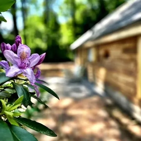 Landgoedtostay Op De Veluwe!