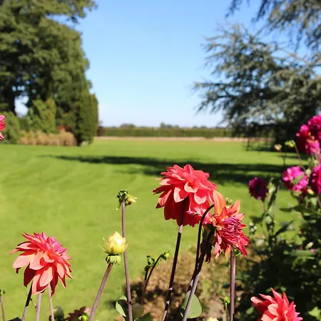 Landgoedtostay Op De Veluwe!