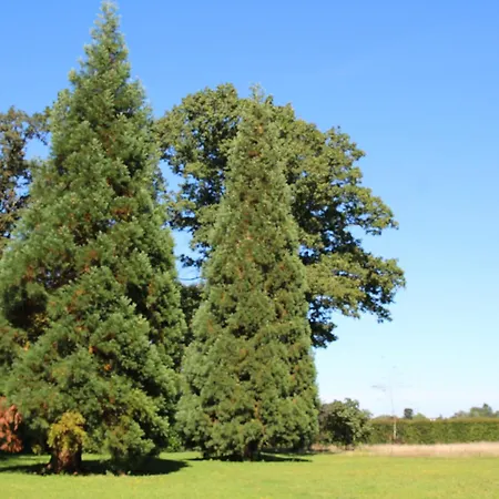 מלון Landgoedtostay Op De Veluwe!